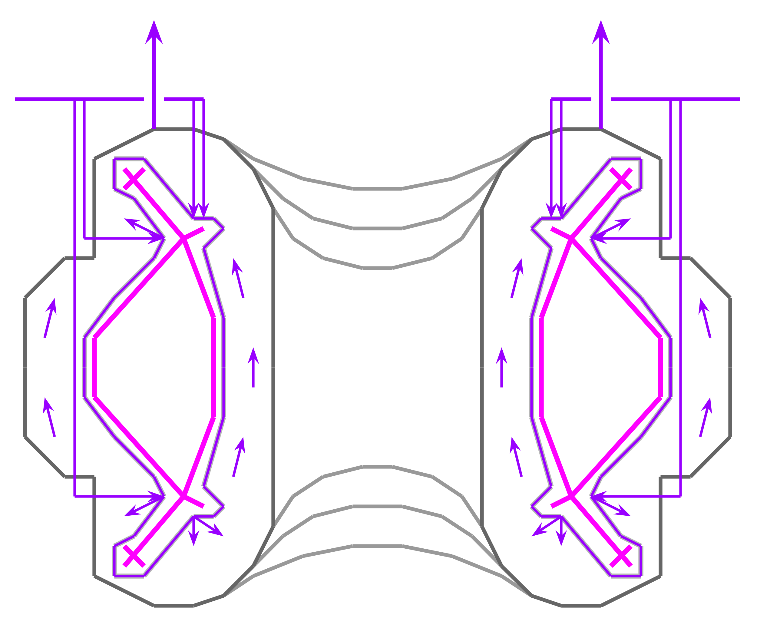 Tokamak plasma cross-section